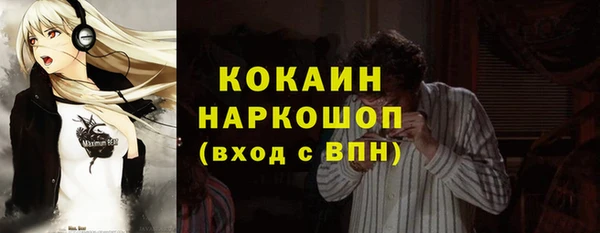 ALPHA PVP Няндома