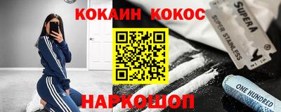 гашик Шелехов