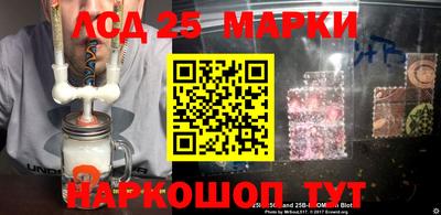 гашик Шелехов