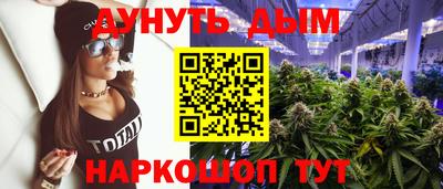 гашик Шелехов