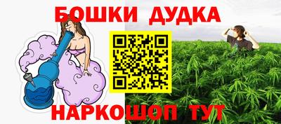 гашик Шелехов