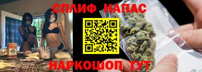 гашик Шелехов