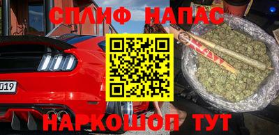 гашик Шелехов