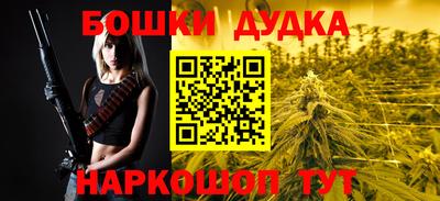 гашик Шелехов