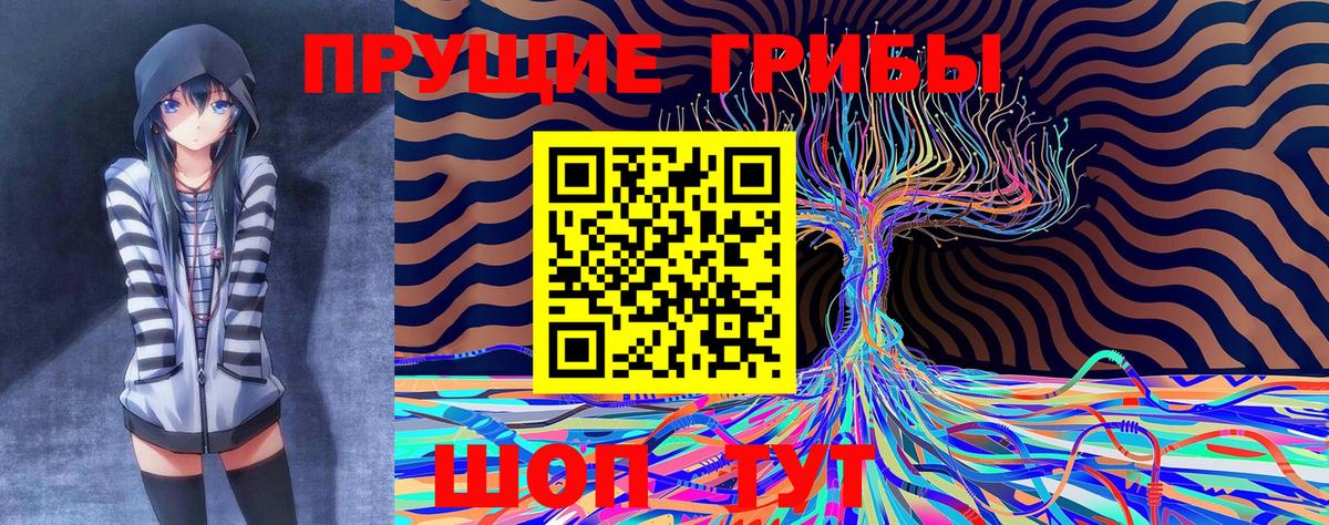 Галлюциногенные грибы MAGIC MUSHROOMS  Вход с VPN  Алейск 